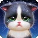 小猫爱消除