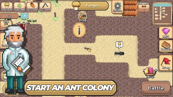 口袋蚂蚁（Pocket Ants）