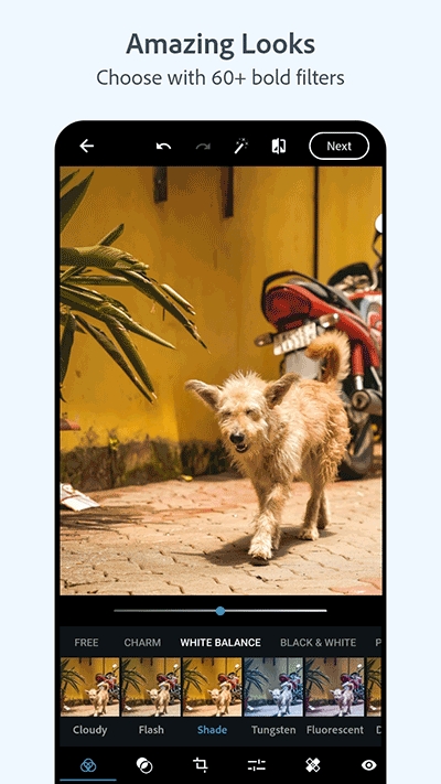 Adobe Photoshop Express