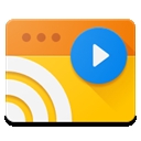 Web Video Caster