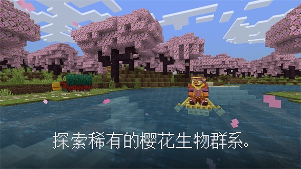 我的世界pe