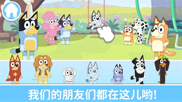 布鲁伊一起玩吧
