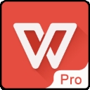 ​WPS Office政企版