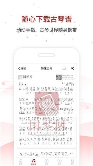 国琴网