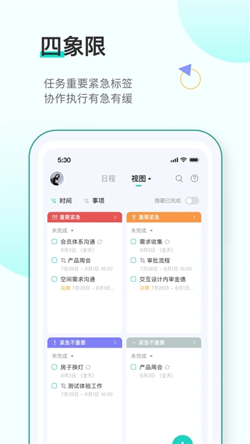 飞项