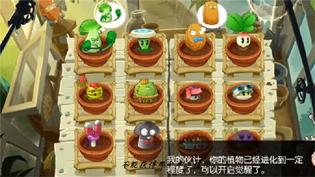 植物大战僵尸全明星国际服
