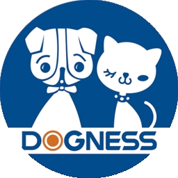 多尼斯