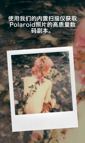 宝丽来