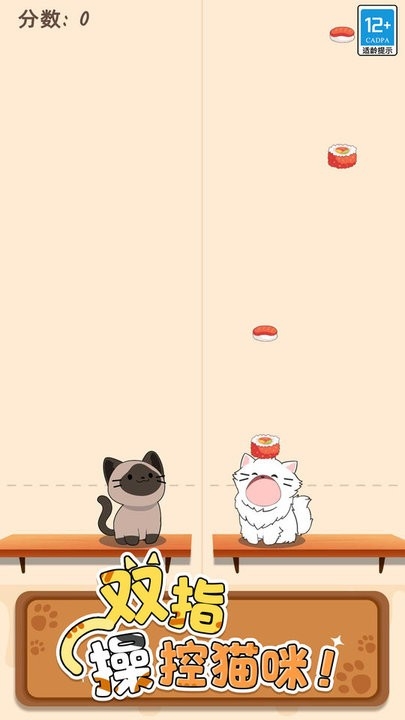 duet cats