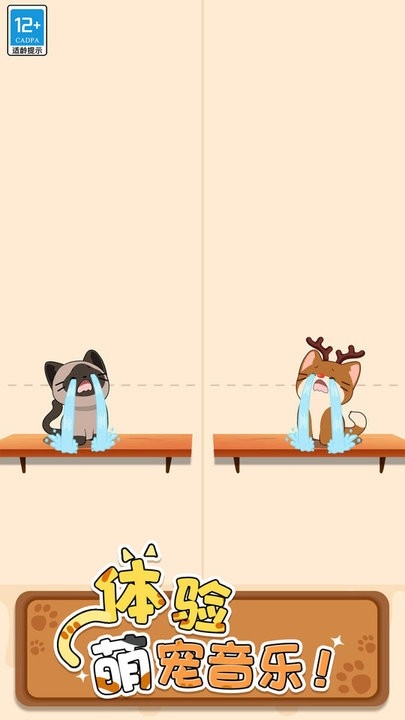 duet cats