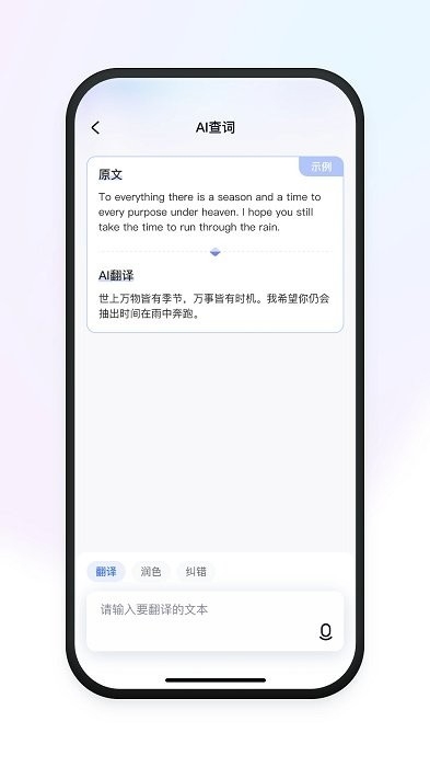 有道小P