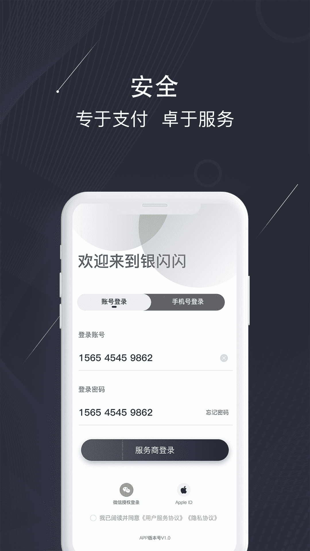 银闪闪