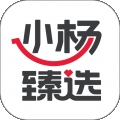 小杨臻选