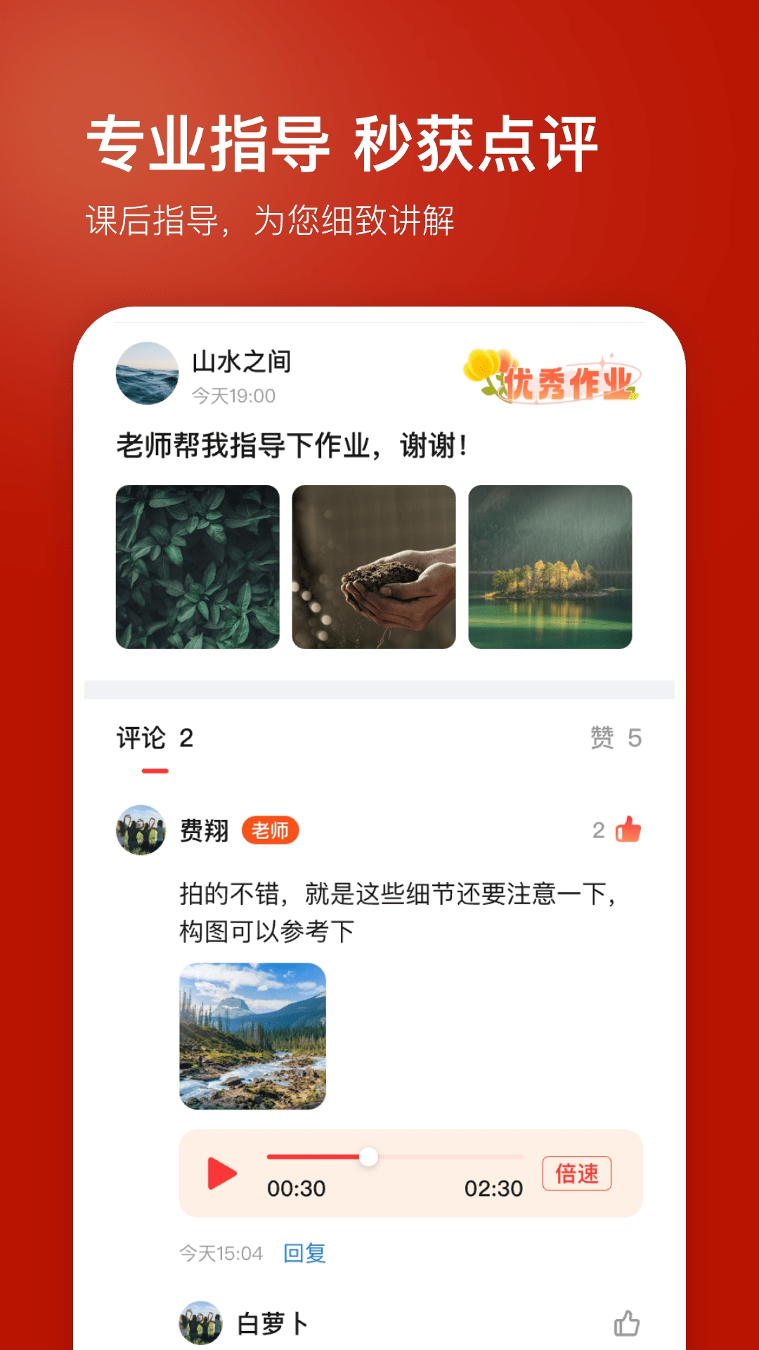 红松
