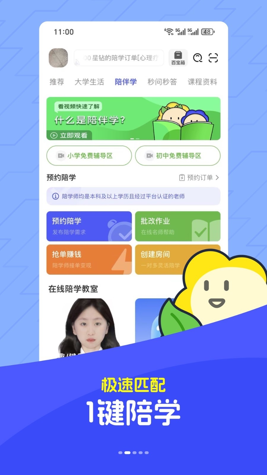 马兰花开