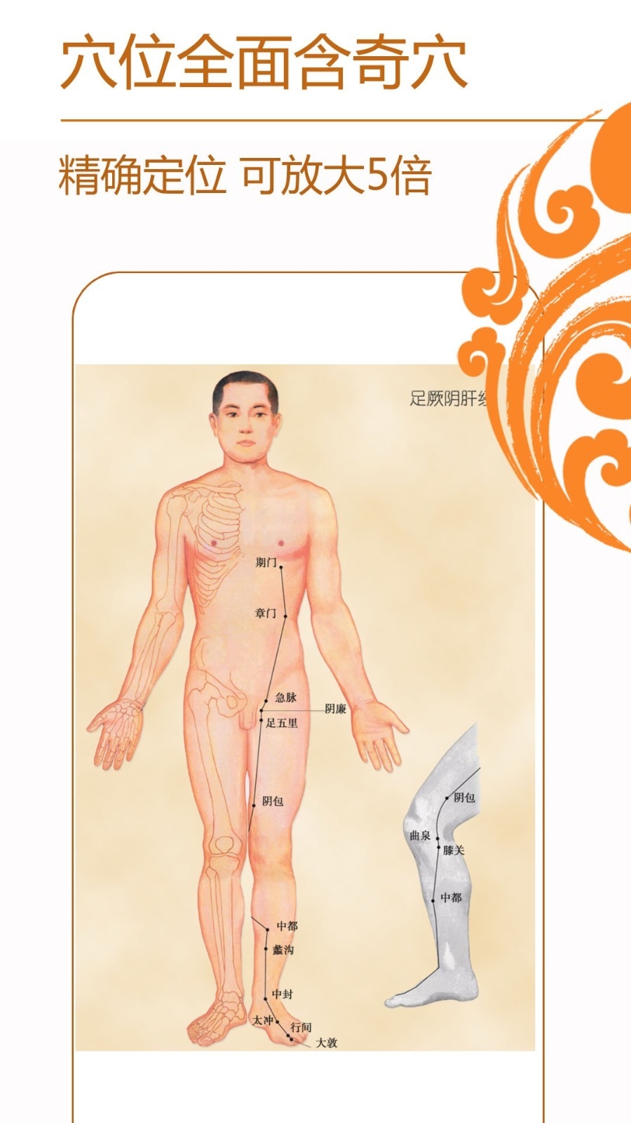 经络养生穴位按摩