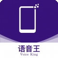 语音播报