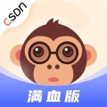 CSDN