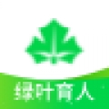 绿叶育人