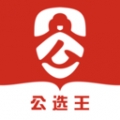 公选王遴选