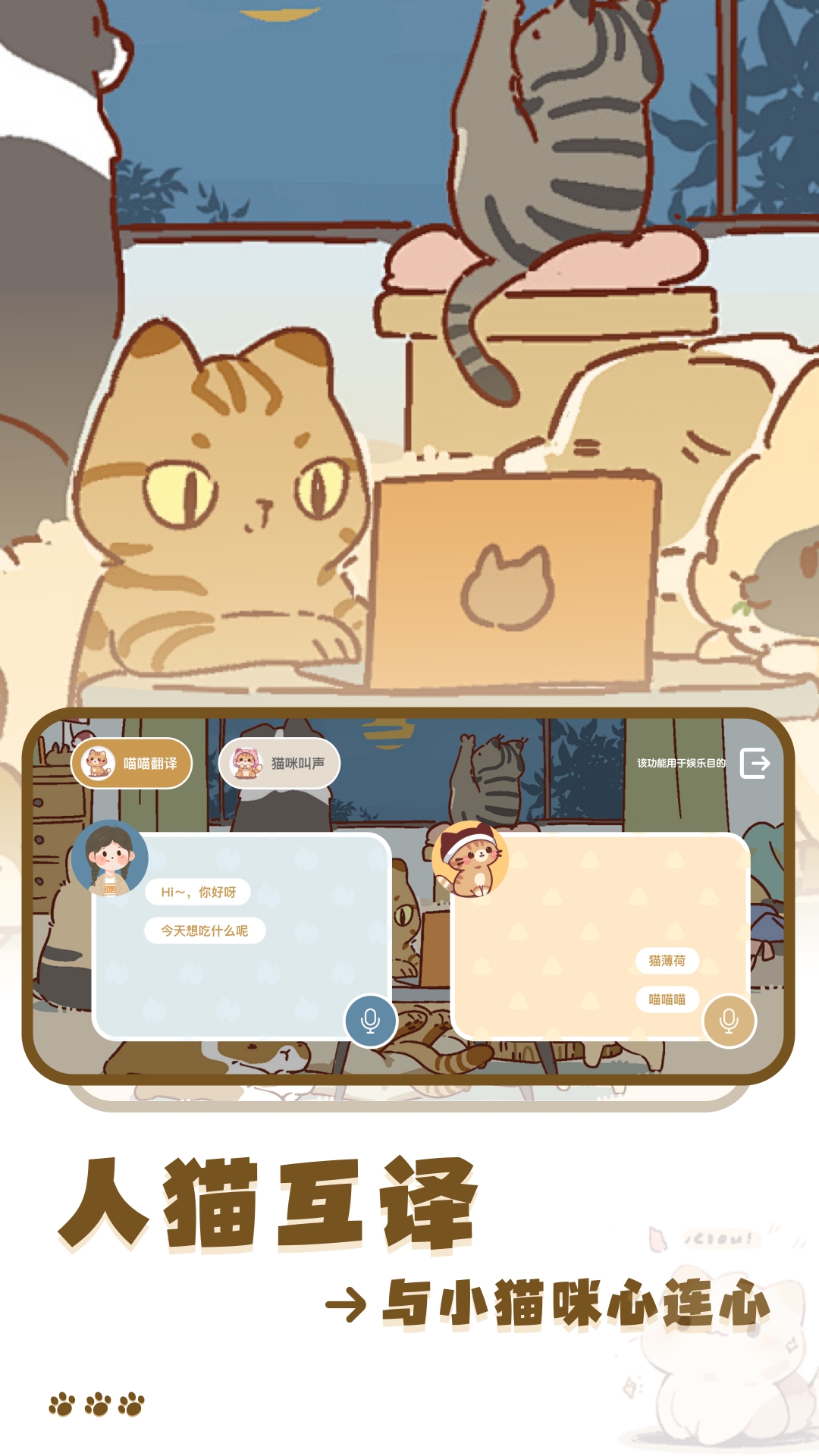 猫咪玩具