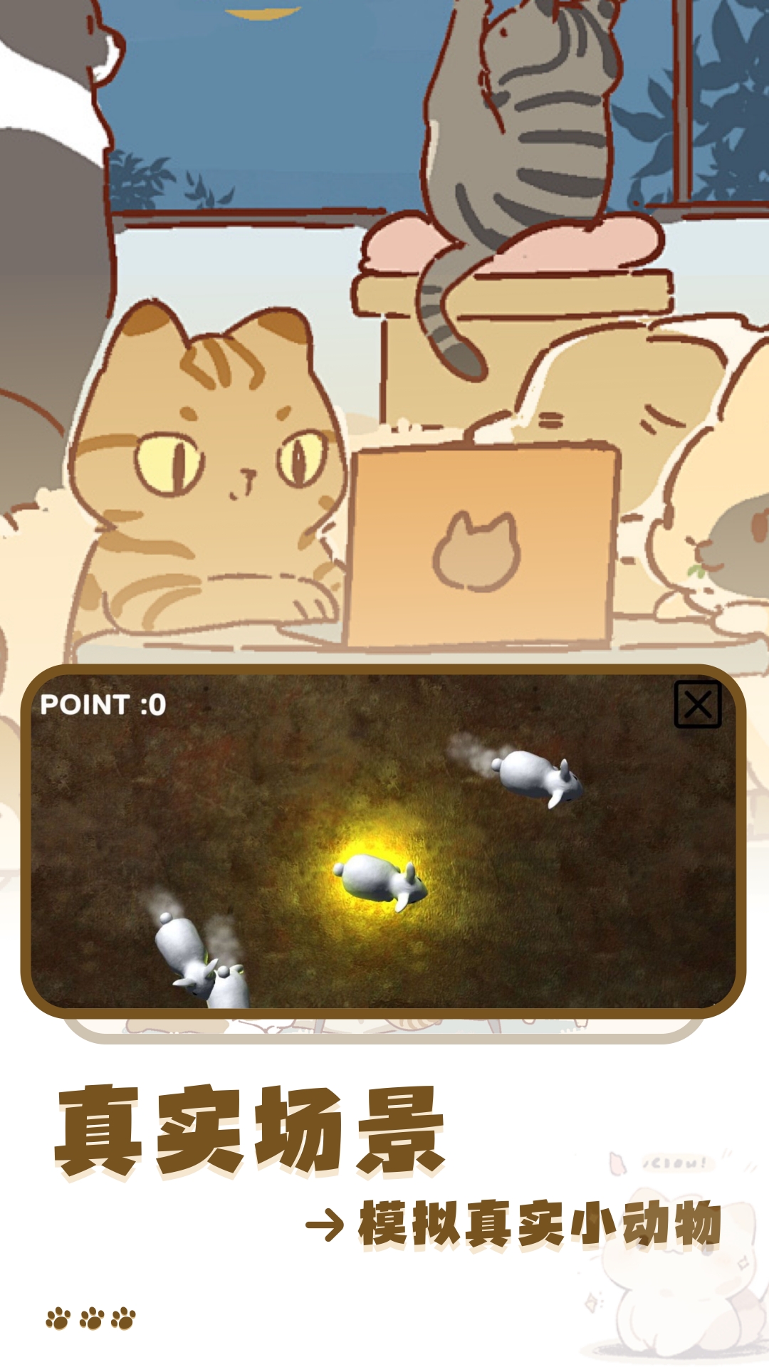 猫咪玩具