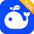 WorkPlus SE专业版
