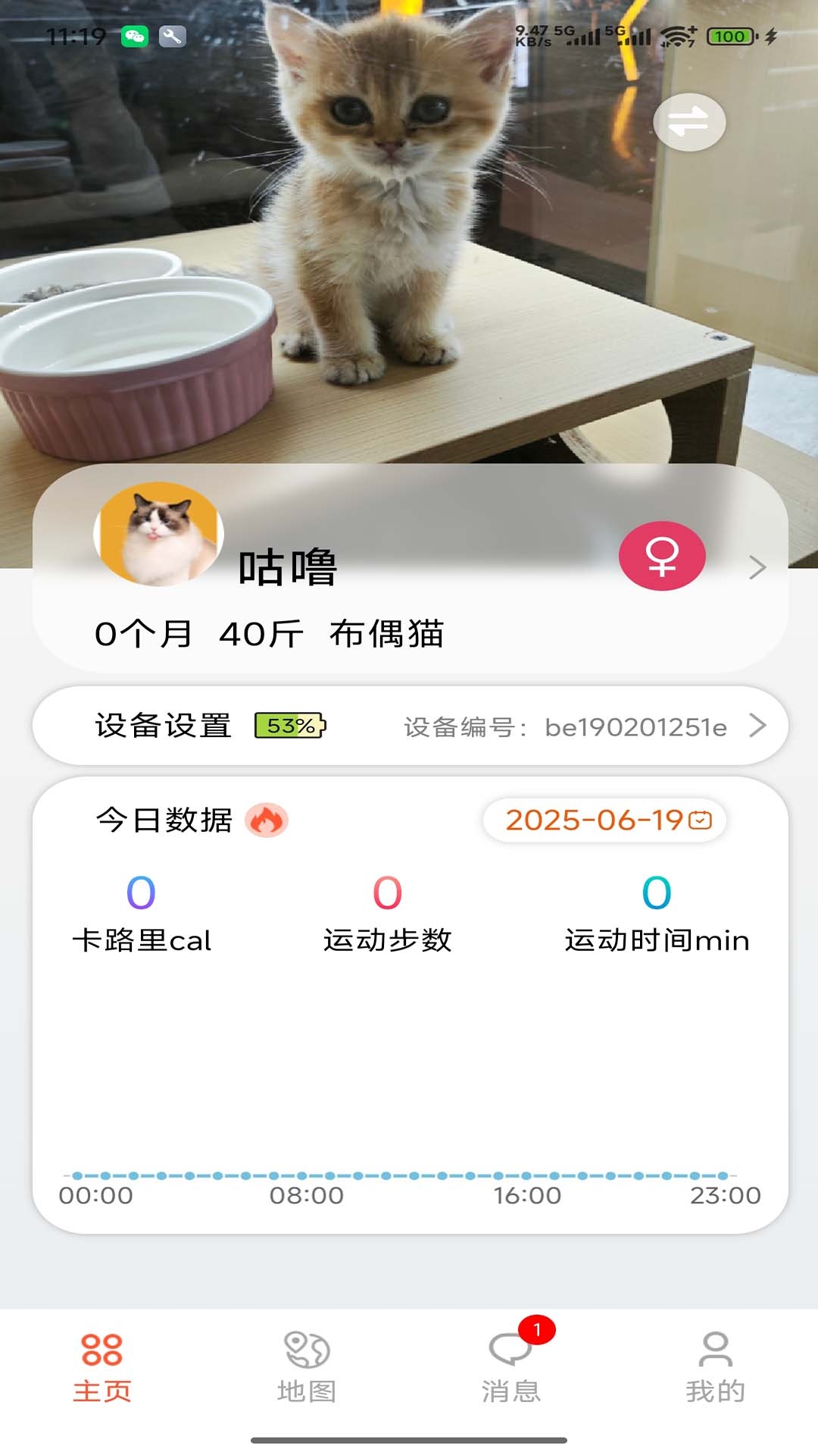 宠悦悦