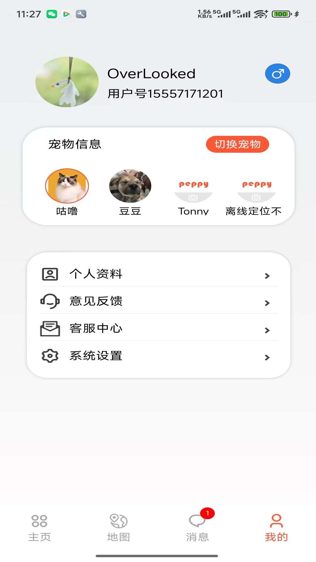 宠悦悦