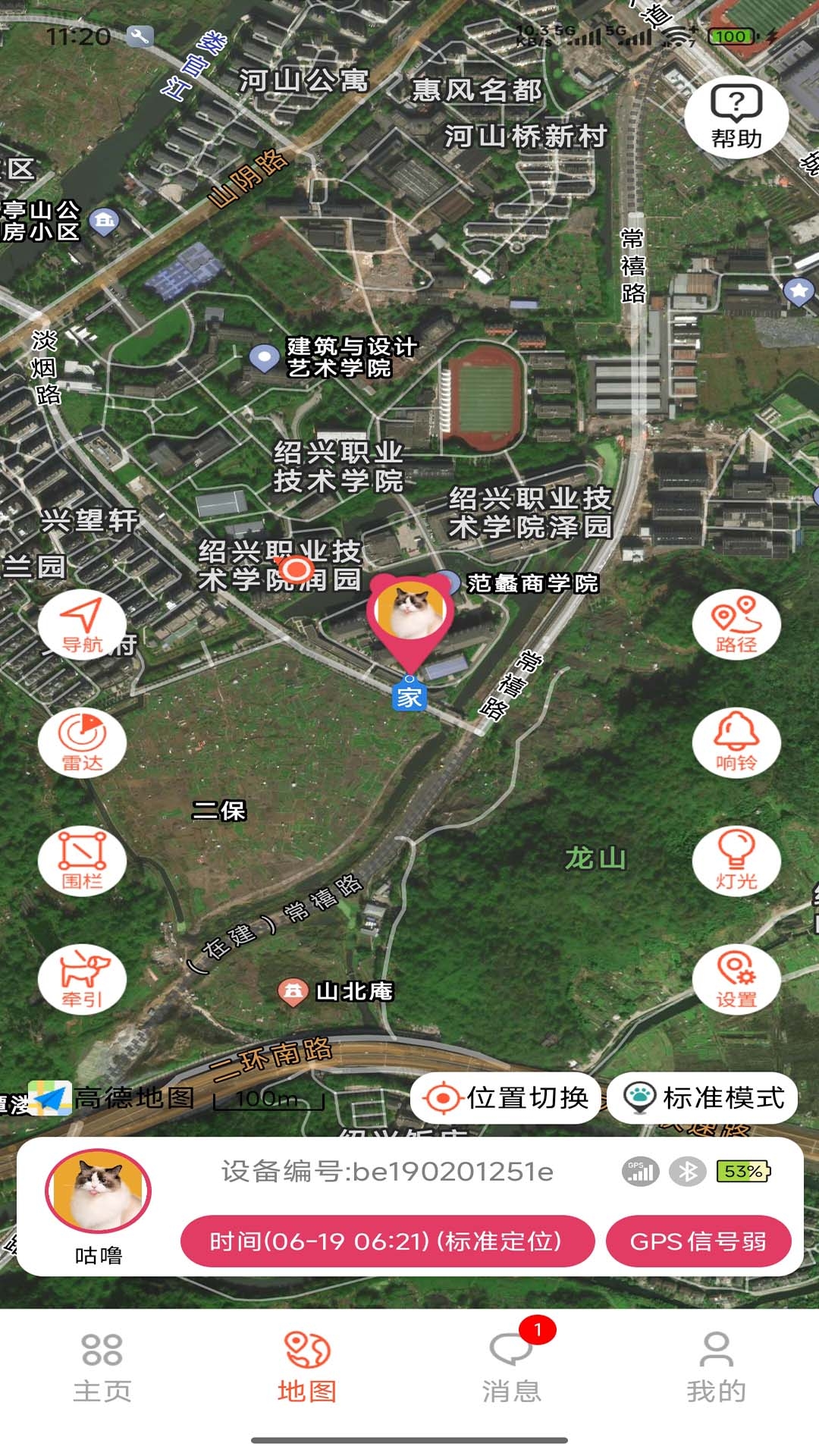 宠悦悦