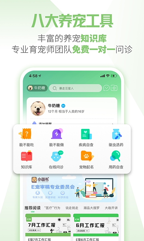 E宠商城