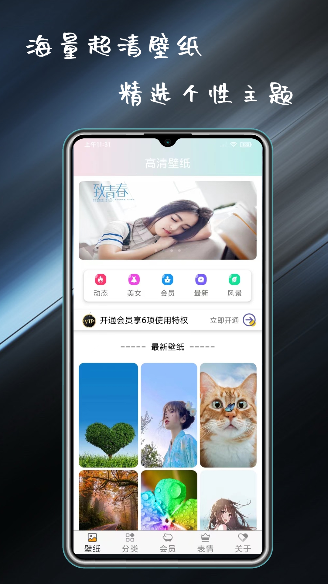 壁纸精选大全