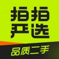 拍拍严选