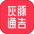 灰豚通告