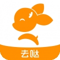 去上网