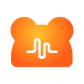 NN